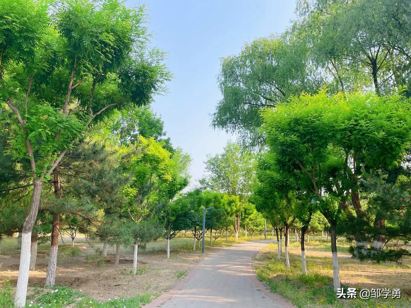 晨跑每一份坚持和努力都是值得的,晨跑不是每一次努力都会有收获