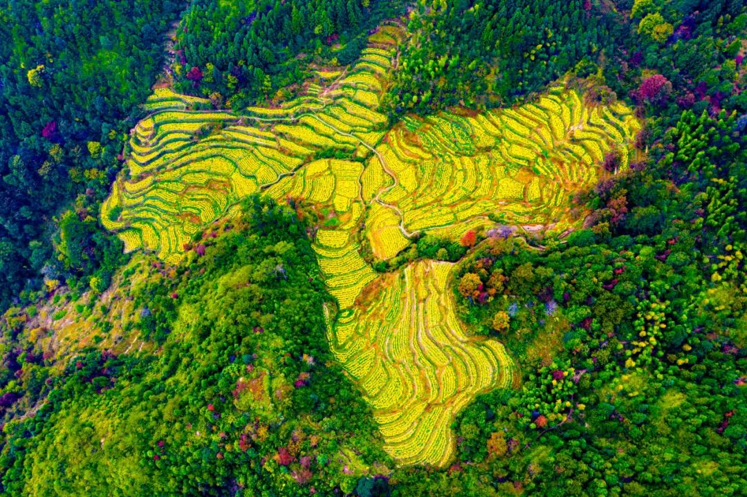 长汀古城客家文化发源地,长汀县客家首府