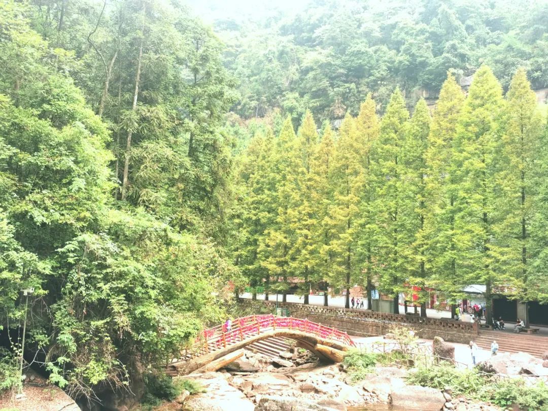 重庆江津旅游景点有哪些,重庆江津周围的景点