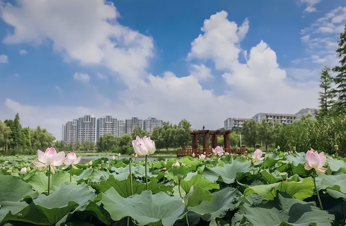 江苏大学报考推荐分析,江苏大学有多难考