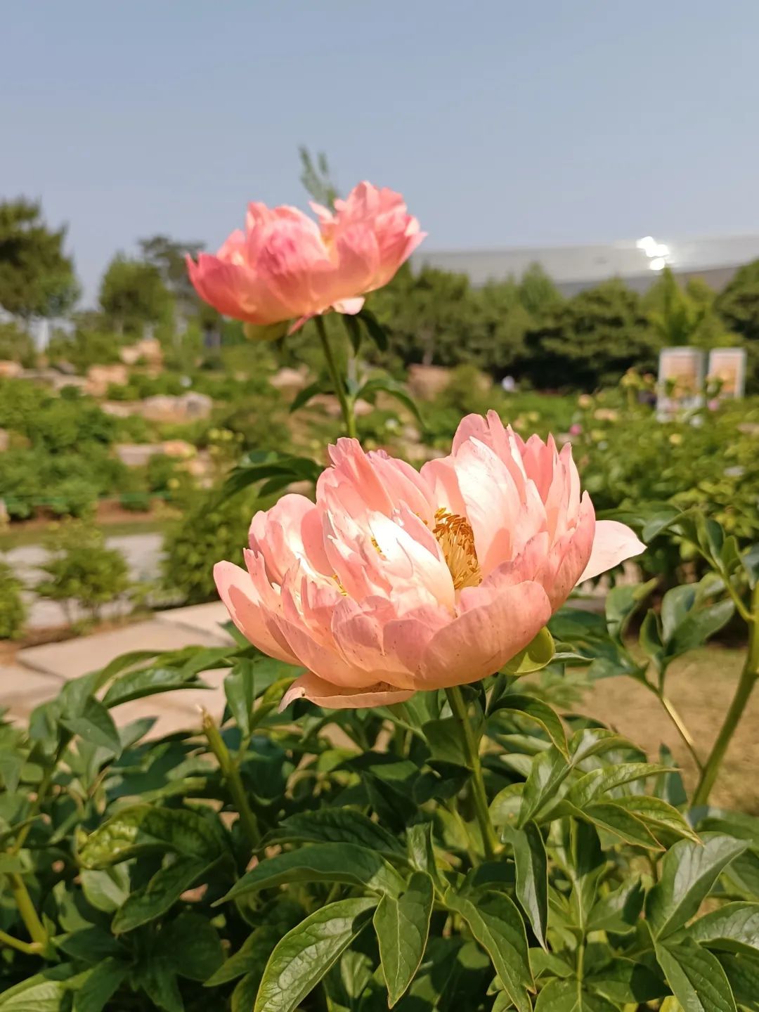 五一假期出游攻略江西,五一出游地点推荐周边免门票