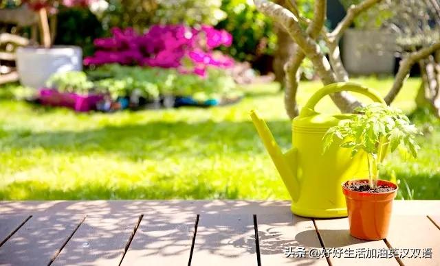 平静的人生岁月静好,内心微笑的光阴是安静和丰富的