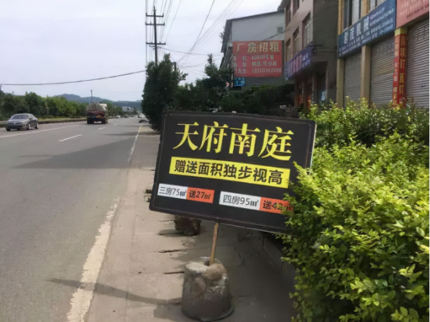 韭菜板块走强 (韭菜最怕的板块)