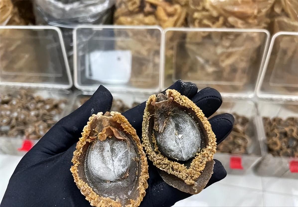 鲍鱼为什么比蛋黄鲍便宜,干鲍贵还是鲜鲍鱼贵