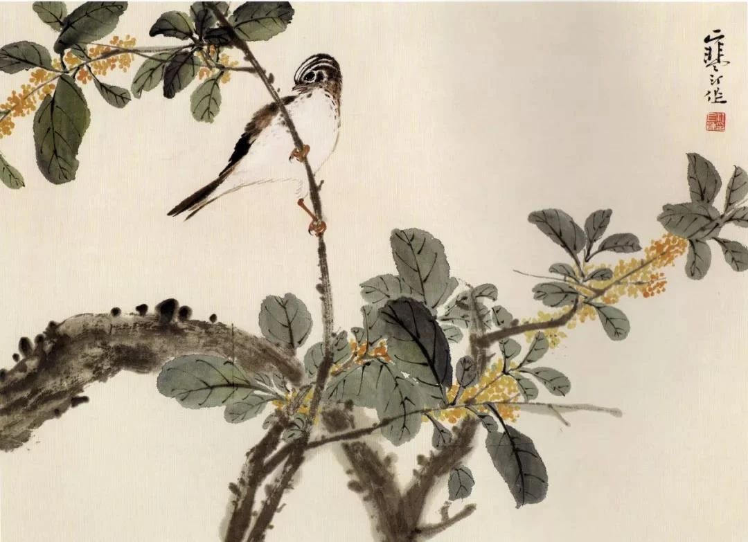 江寒汀写意黑山雀石榴花图,江寒汀写意花鸟千峰竞秀原作尺寸