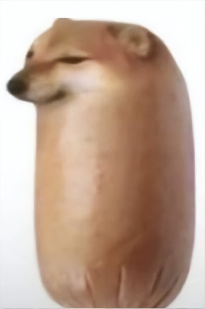 如果我变成面包狗你还会和我玩吗,妈妈如果我变成面包狗你会爱我吗