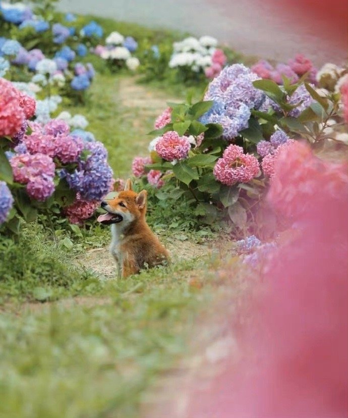 极度缺爱的女生有哪五种表现,心理学缺爱的女孩六点表现