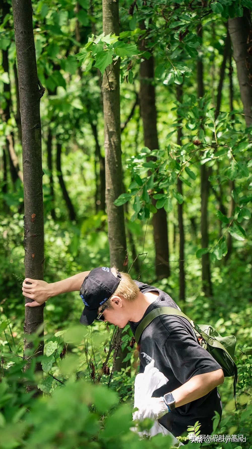 kolonsport可隆武汉,kolonsport可隆广州