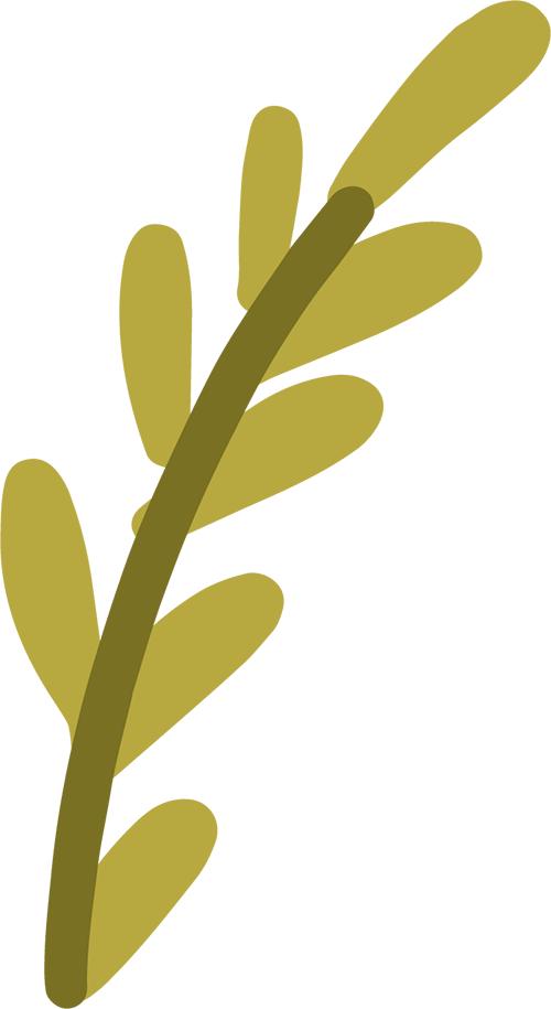 DDRis联合免疫治疗肝细胞癌研究进展