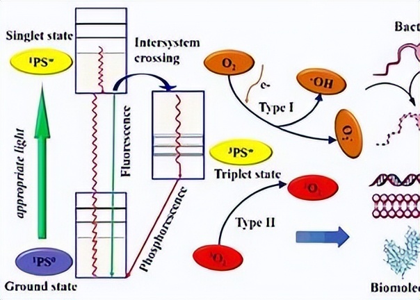 光动力治疗癌症是真的吗,光动力能治疗癌症吗