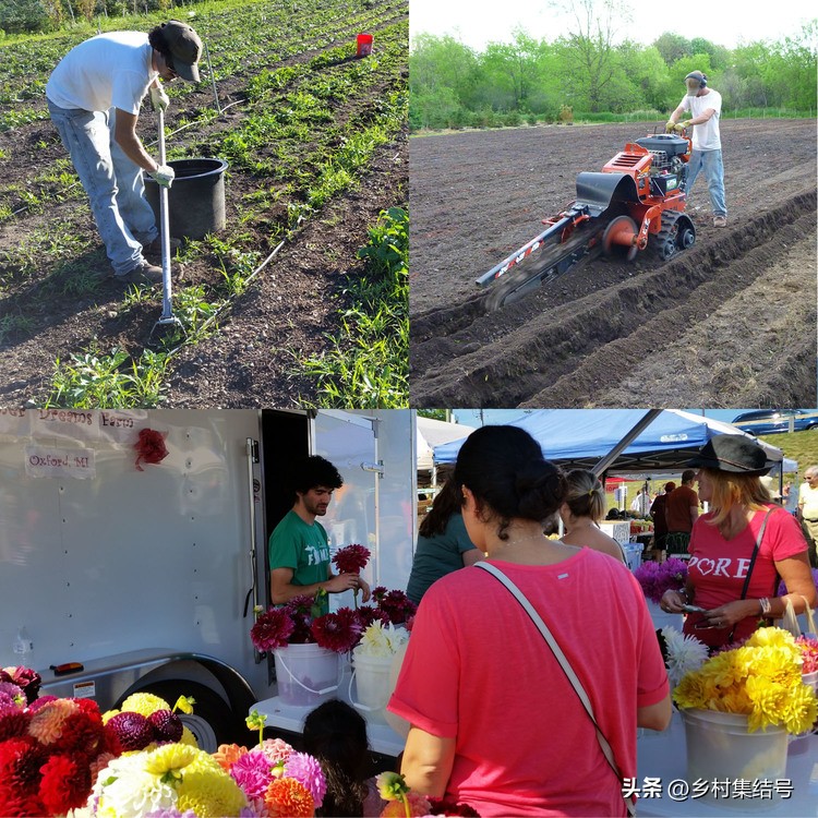 美国夏日梦幻农场：以大丽花为主题的鲜花园艺农场，如梦如画！