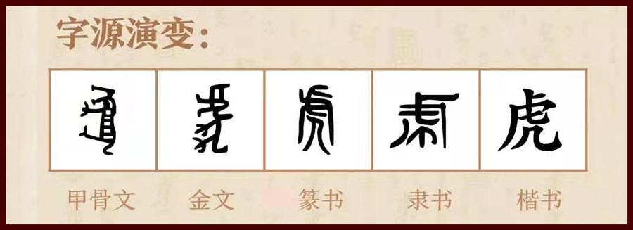 虎年说虎论老虎的起源与变迁,虎的甲骨文突出了什么