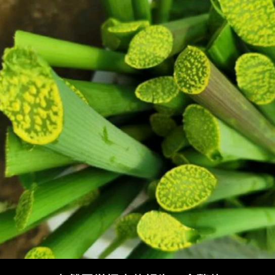 希望这个视频对大家有所帮助,近三天最火的生活小常识