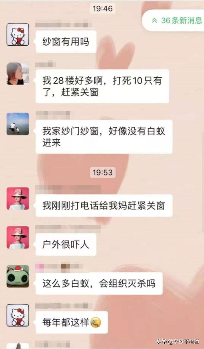 白蚁袭击刘畊宏,刘畊宏家里直播飞进白蚁