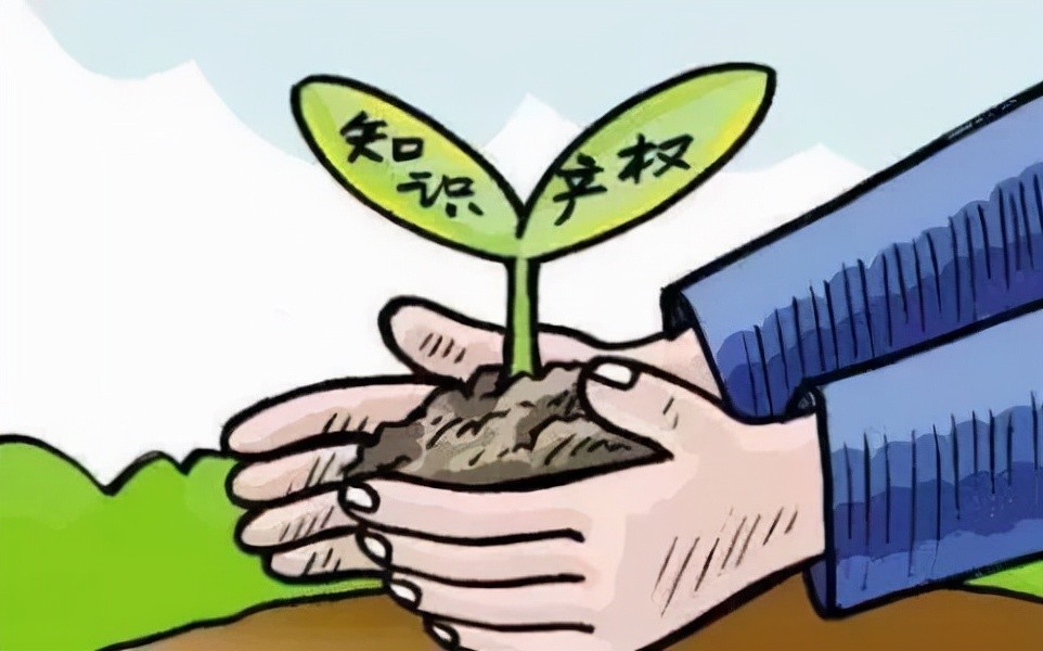 农村法律知识问答册,小微企业法律咨询问题