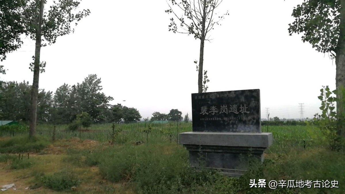 河南裴李岗遗址距今多少年,裴李岗文化遗址中挖出了什么