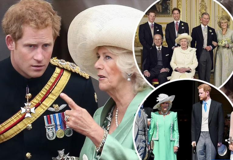 哈里王子为何恨卡米拉,哈里王子抨击卡米拉