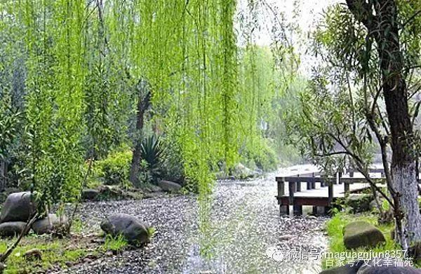 柳絮纷飞的古诗词,关于柳絮飞舞的古诗句