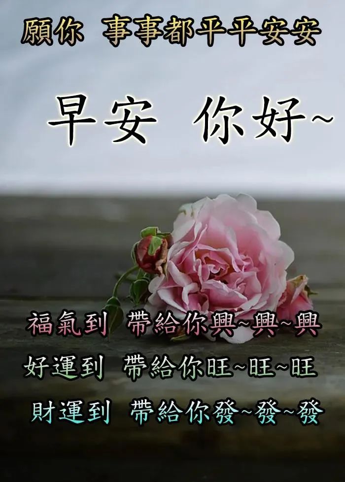 最新最美雨天早上好问候文字图片,夏日里最美的早晨问候图片大全