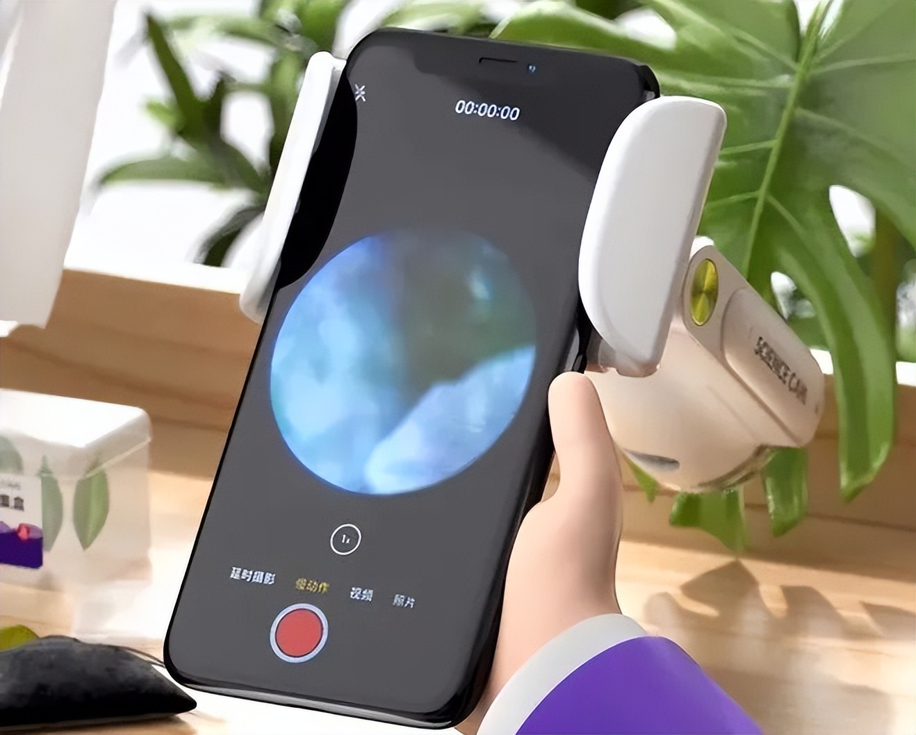 儿童探索放大镜多少倍合适,家长应不应该给孩子买显微镜