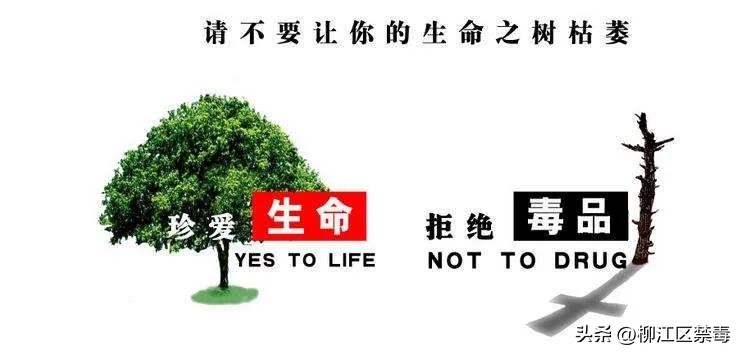 禁毒杯足球,河源市禁毒杯足球比赛