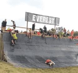 发错群信息怎么补救,信息发错群话术