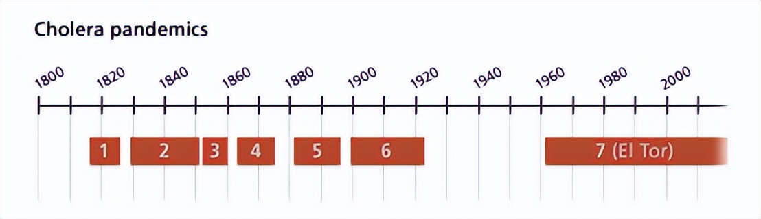 武大霍乱，责任全在美方？