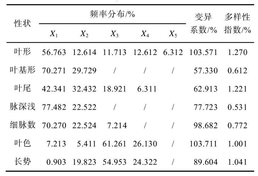防城金花茶叶片什么样,防城金花茶的叶片什么样子