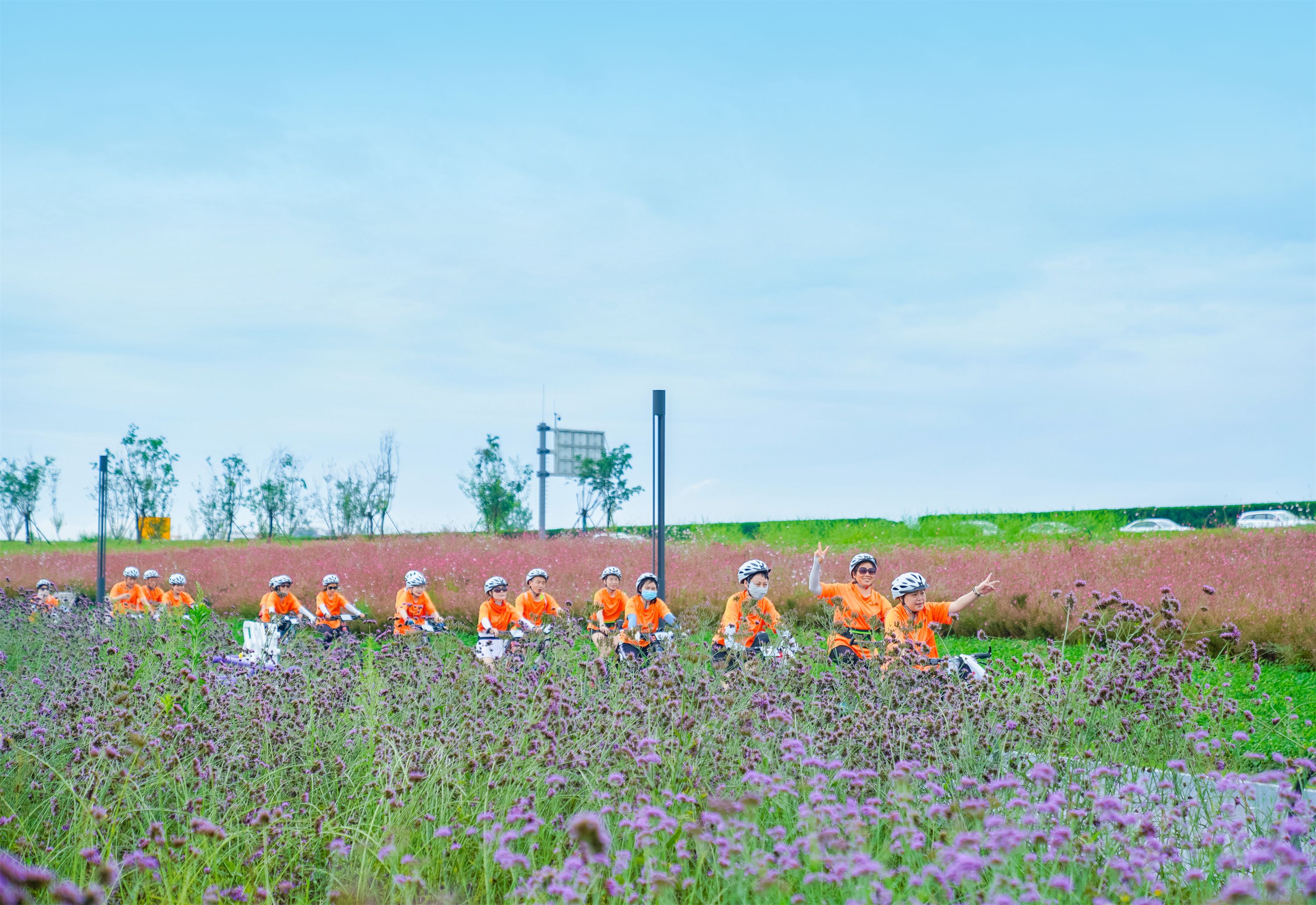 城市更新观后感,城市发展新变化的感想