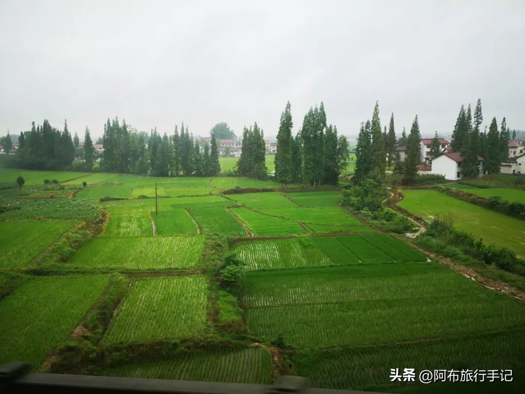 还没来得及去日本，却在秦岭来了趟值回东京票价的旅行