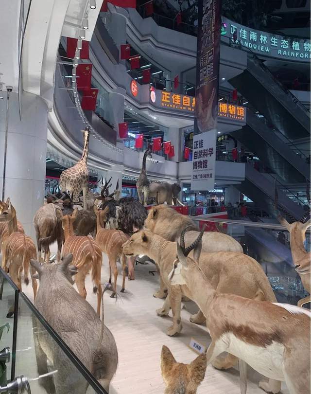 最新商场运营模式,商场如何打造优势业态