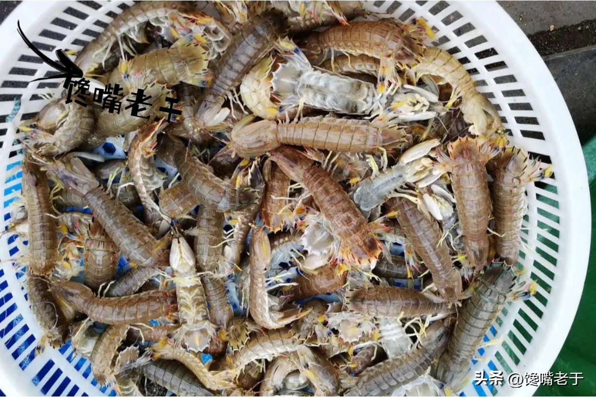 5种当季海鲜价格便宜营养好,海鲜正当季6月必吃的10大海鲜
