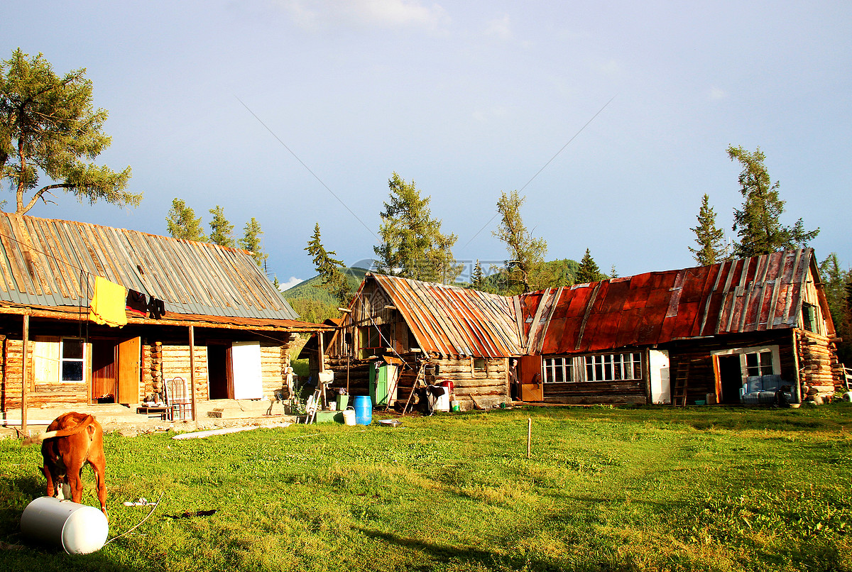 失踪的年轻租客完整版,失踪的年轻租客第三集