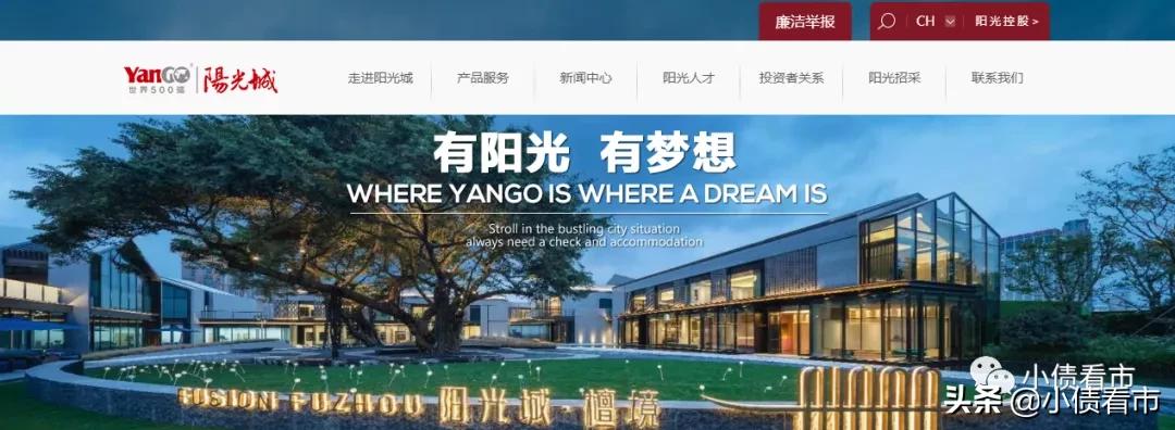 阳光集团私募债违约,阳光集团公司债券