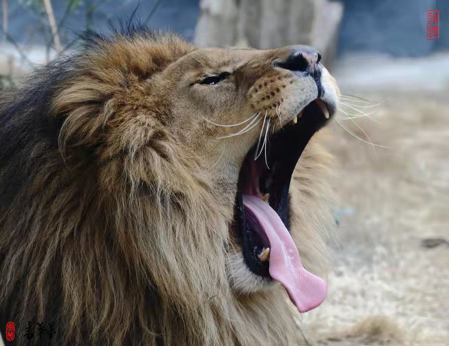 “公进民退”！肥东义务教育全面拥抱公立学校的春天已经来到