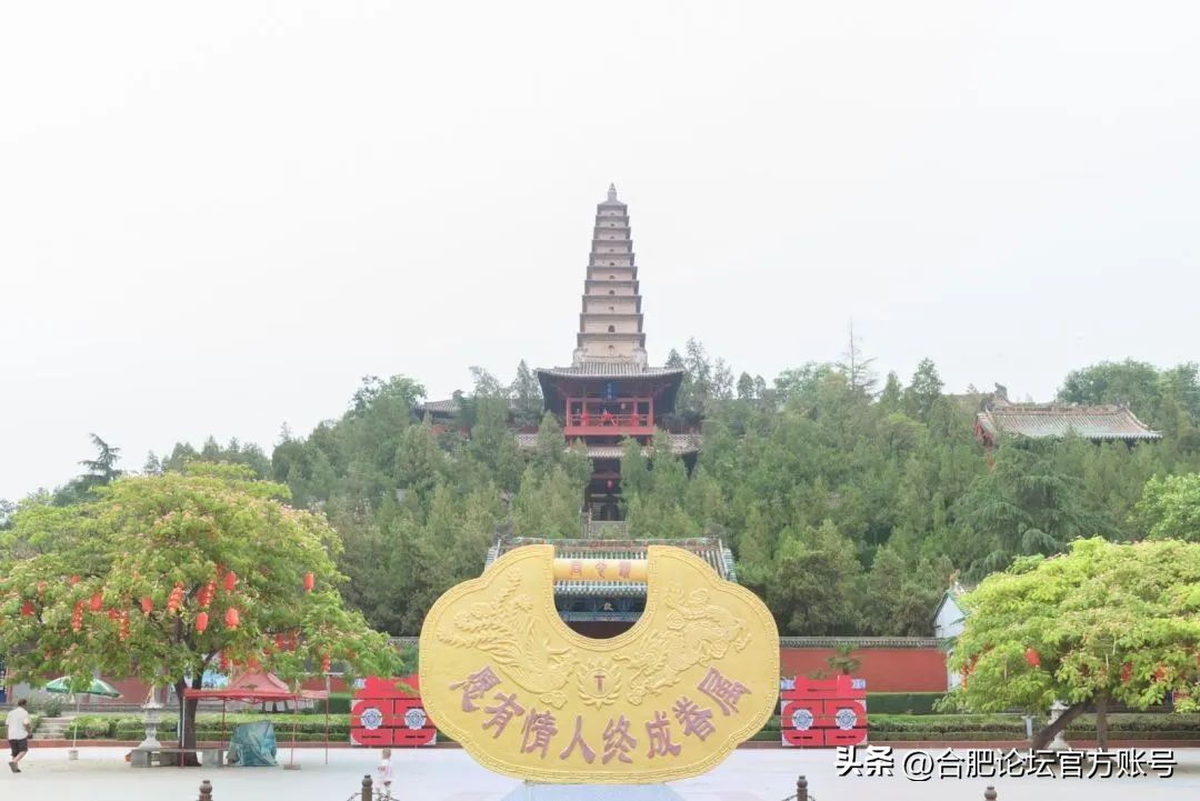 十一月合肥去哪里的机票最便宜,今年11月合肥特价机票