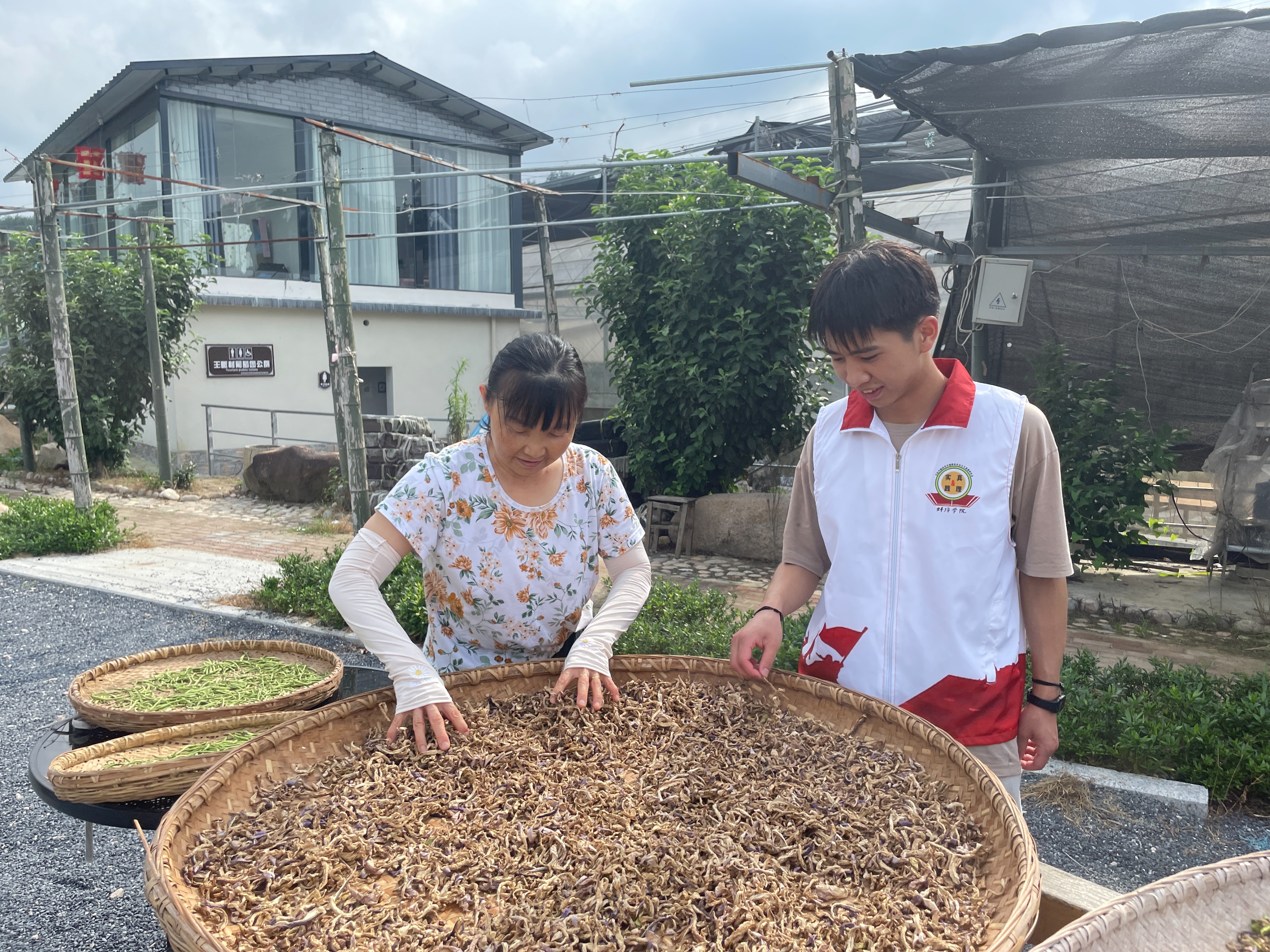 乡村振兴视角下的田园,乡村振兴奏响田园交响曲