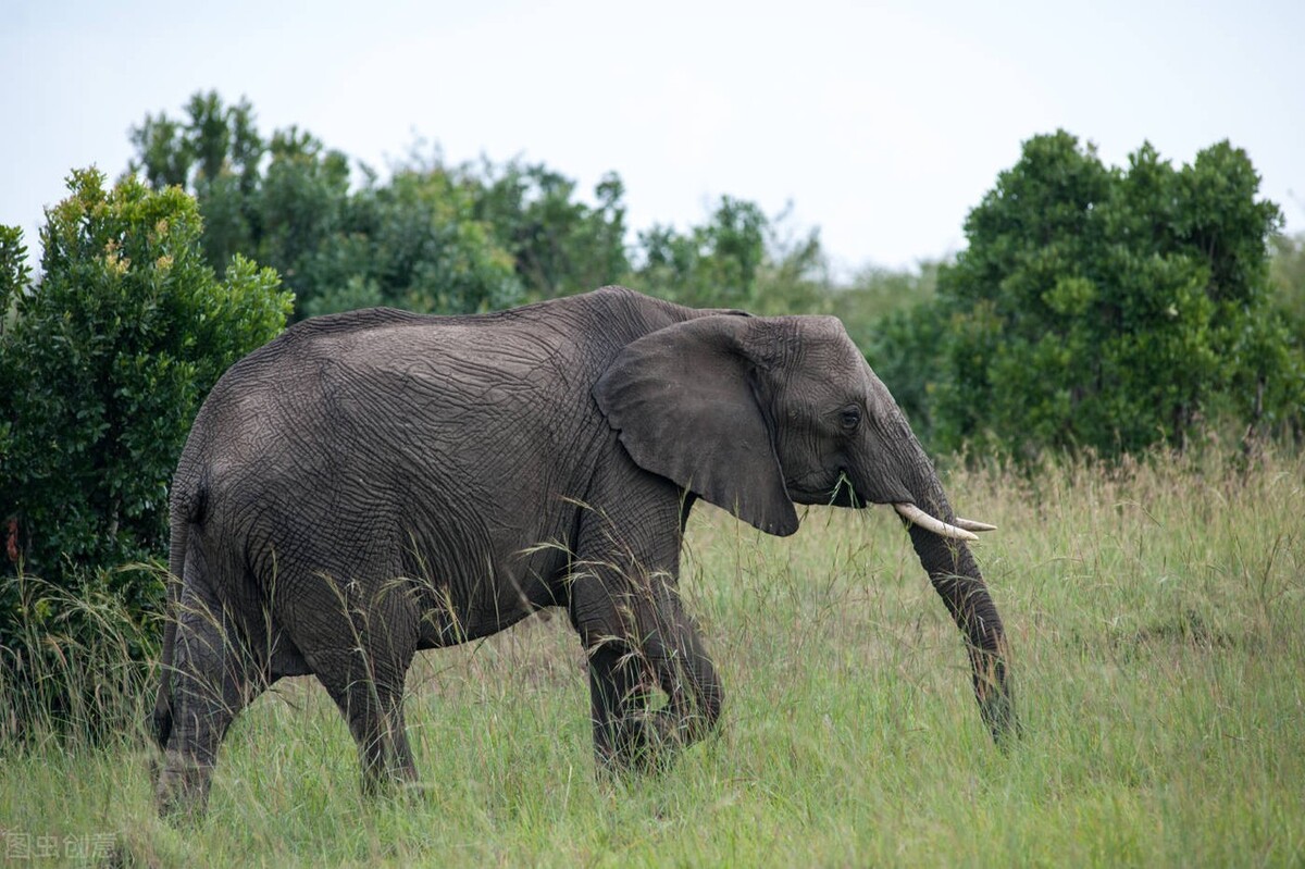 西游记里的妖魔鬼怪有多少个,西游记里的妖魔鬼怪