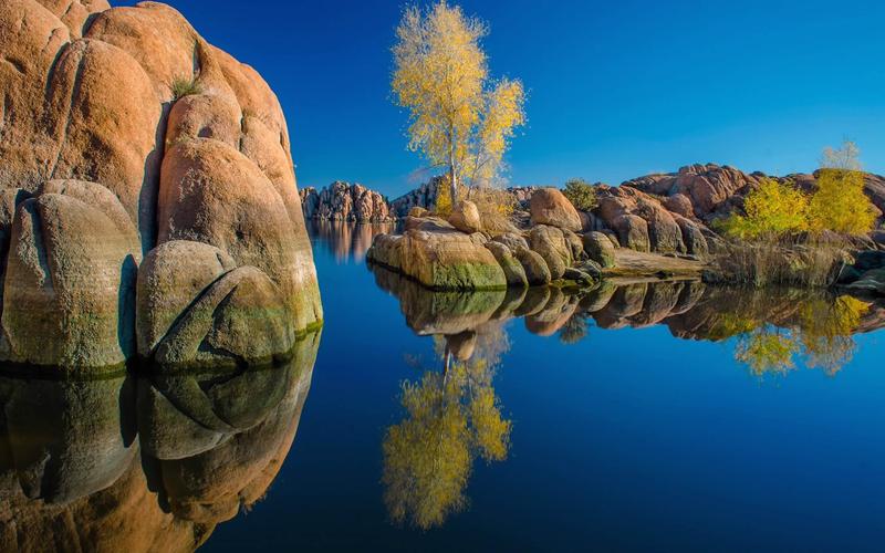 房屋租赁合同纠纷一般多久判决,房屋租赁合同承租优先权纠纷案例