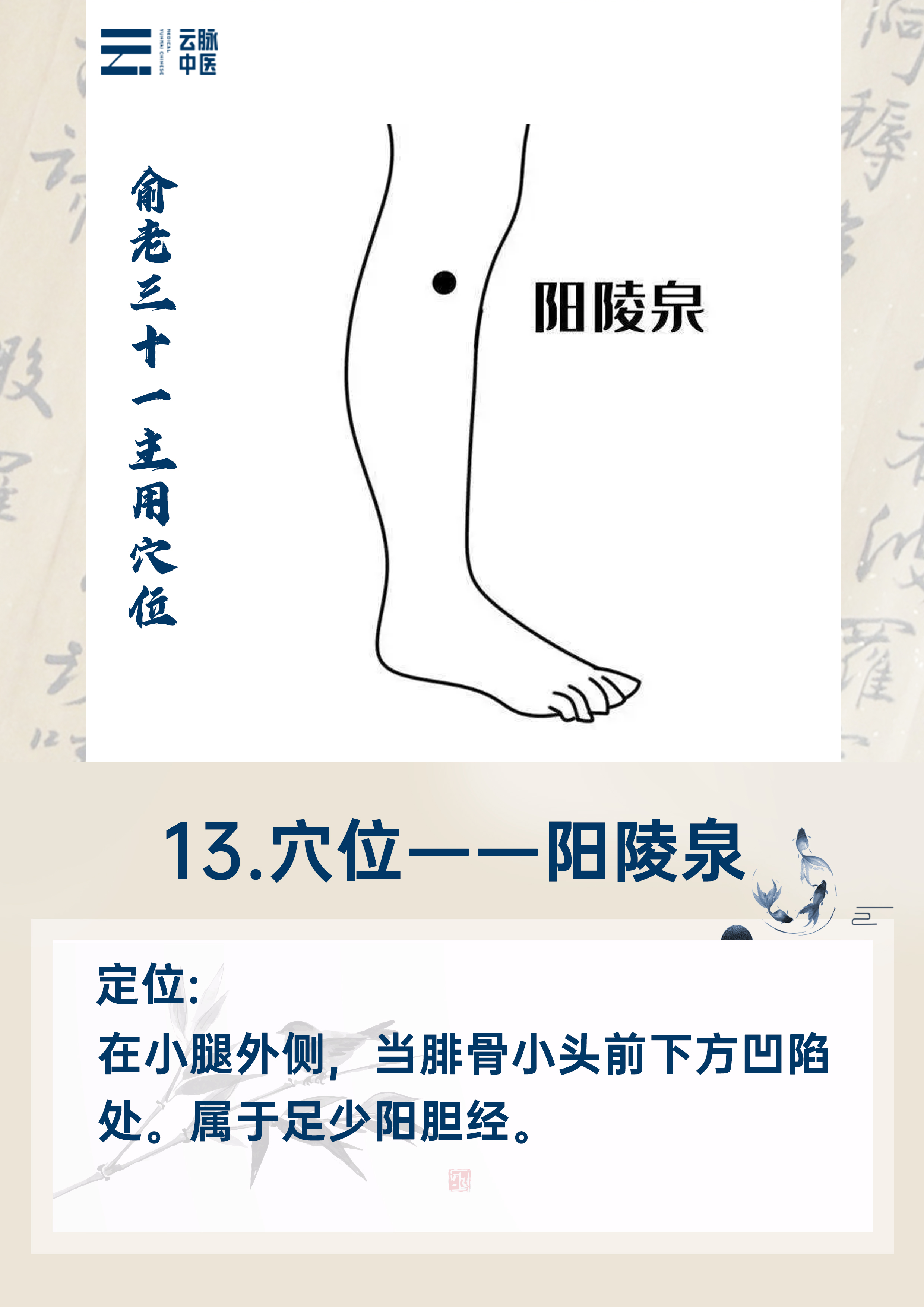 脸上长斑的原因与调理中医图,脸上有斑老十岁专家教你一招