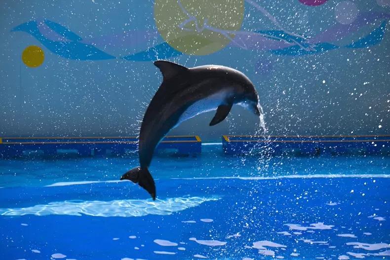 香港留学最全攻略,香港订酒店攻略