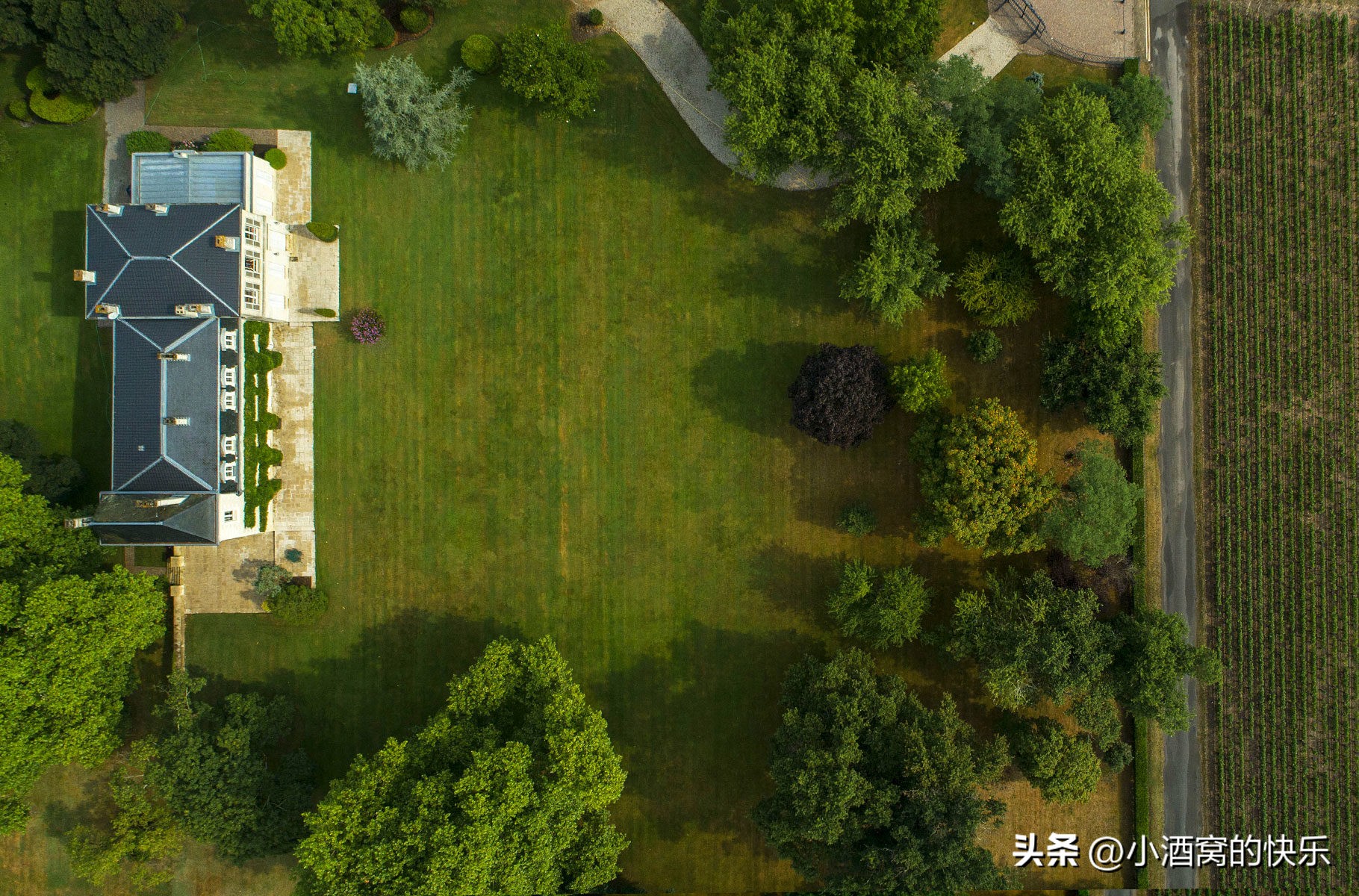 法国波尔多labbaye酒庄,法国波尔多chateaubaby酒庄