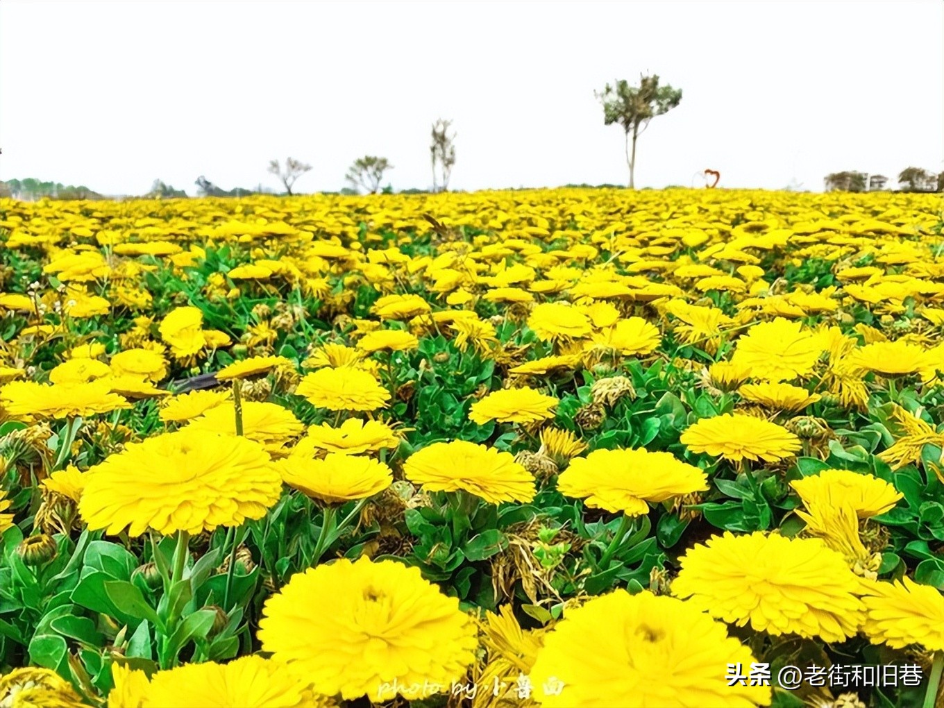 玩转云南自由行,昆明大理丽江6天5晚游多少钱