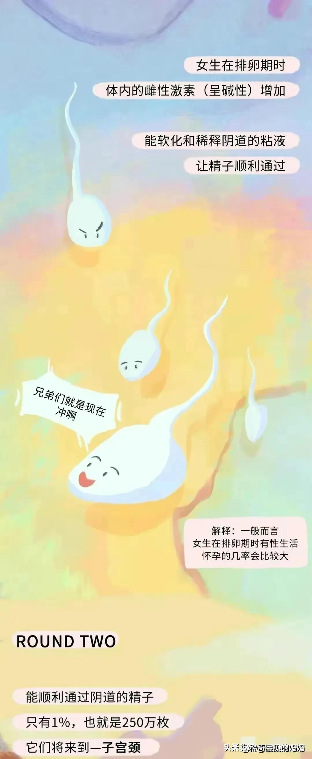 小蝌蚪漫画,科普知识小蝌蚪怎么成长为青蛙