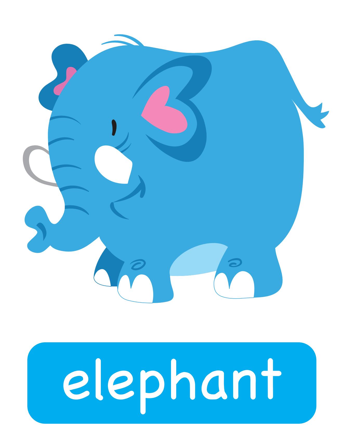 图说英语单词：高清动物类卡片，一图一单词