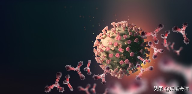 武汉惊现入侵巨人蜈蚣物种,海关查获活体巨人蜈蚣怎么处理的