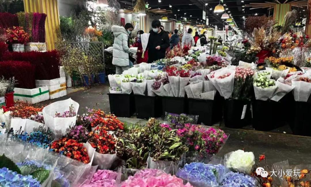 北京最美的花鸟市场,北京值得逛的花鸟市场