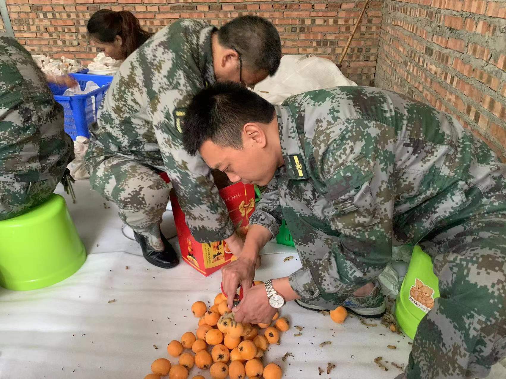 鍥涘窛闆呭畨鍦伴渿浜戝崡浜烘敹鏋囨澐,璧堢伨瀹濆叴鏋囨澐