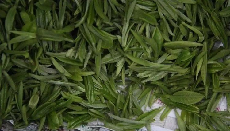 正山小种好喝还是祁门的红茶好喝,祁门红茶云南红茶哪个好