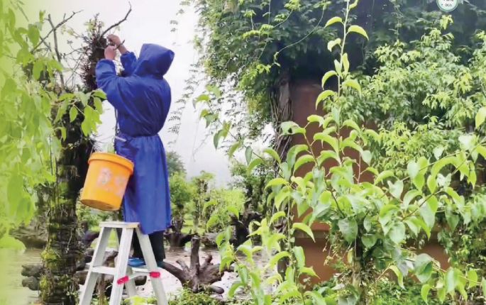 为什么乐清东西那么贵,为什么叫乐清这个名字